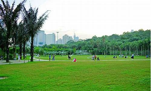 深圳莲花山公园游玩路线_深圳市莲花山公园周边酒店