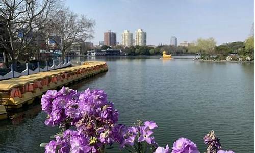 上海长风公园游玩项目,上海长风公园门票多