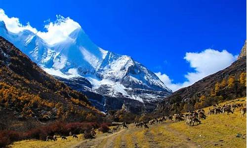 稻城亚丁旅游景点大全_稻城亚丁旅游攻略必去景点有哪些