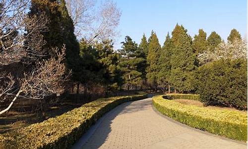北京植物园旅游攻略,北京植物园旅游路线