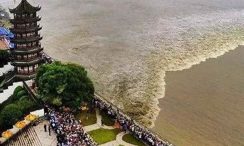 海宁观潮攻略一日游_海宁观潮攻略一日游最佳路线