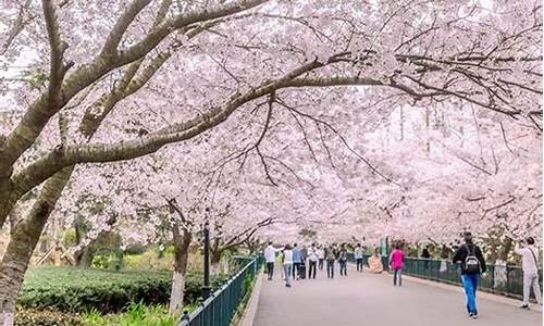 青岛中山公园坐地铁几号线到达_青岛中山公园地铁站是几号线