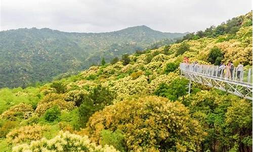 赣州旅游景点大全花海图片,赣州旅游景点大全花海