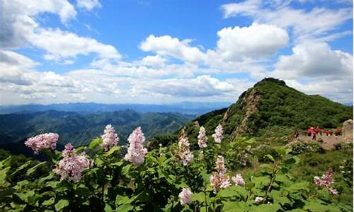 北方夏季旅游景点排行_北方夏天旅游