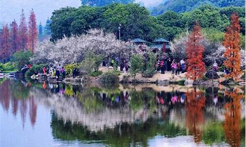 春季 旅游_春季旅游景点有哪些