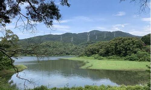 天竺山森林公园景区介绍_天竺山森林公园景区