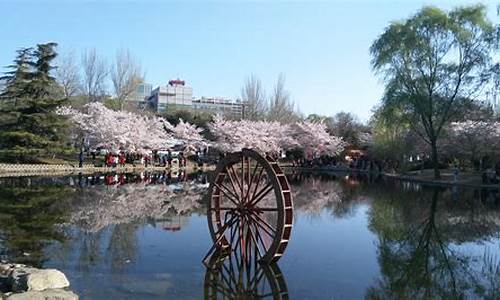 北大商场玉渊潭公园_北京玉渊潭靠近哪个大学