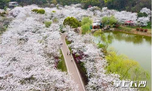 长沙玉湖公园在哪里_长沙玉湖公园什么时候能建好