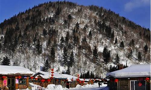 牡丹江雪乡旅游攻略_牡丹江雪景