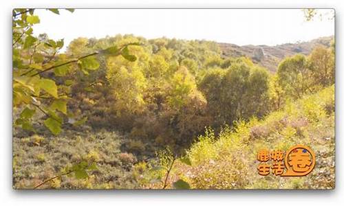 包头马鞍山旅游景点大全 一日游,包头马鞍山景点简介