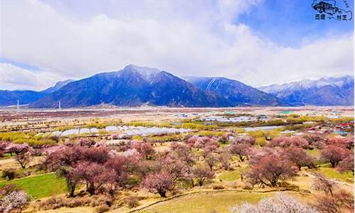 林芝旅游攻略必去景点推荐最新,林芝旅游攻略必去景点推荐最新消息