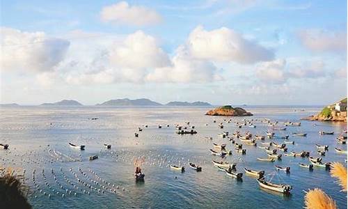 枸杞岛旅游攻略3天2晚住宿推荐,枸杞岛旅游攻略枸杞岛旅游