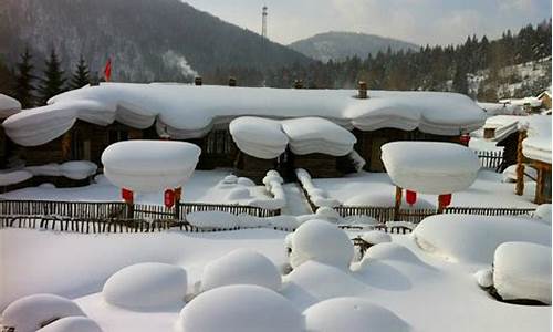 中国雪乡旅游团,中国雪乡旅游攻略游客写的游记