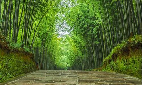 蜀南竹海旅游攻略自驾路线最新_蜀南竹海旅游攻略自驾路线最新