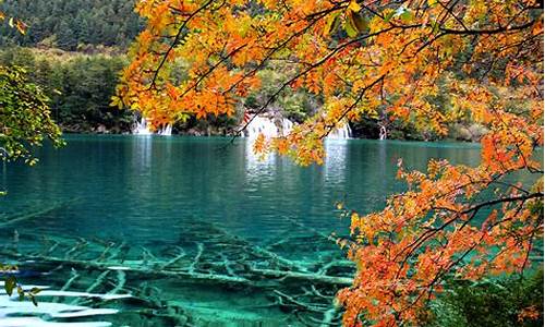 乐山九寨沟旅游报价_九寨沟乐山旅游攻略