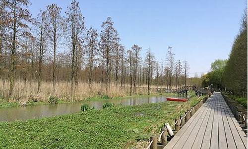 青西郊野公园,青西郊野公园景色介绍