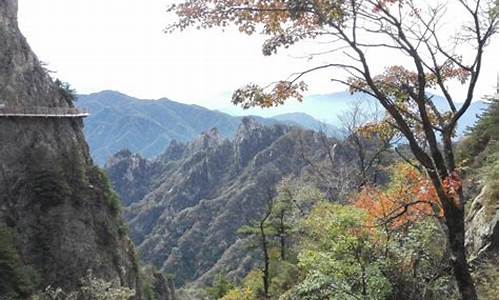 神农架旅游景点攻略一日游_神农架旅游景点攻略一日游路线