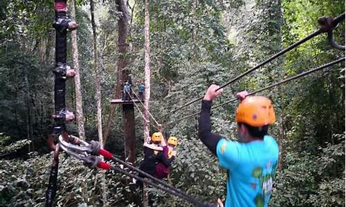 丛林飞跃有危险吗_原始森林公园丛林飞跃a段b段区别