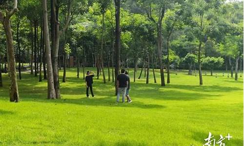 龙岗龙城公园草坪_深圳龙岗龙城公园