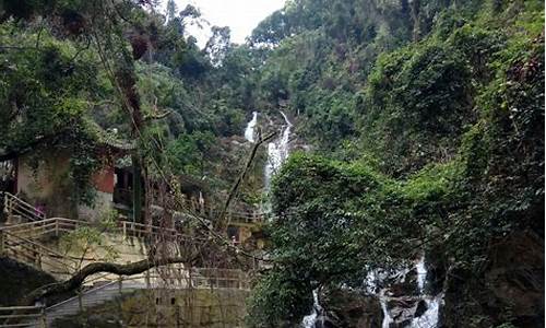 肇庆鼎湖山旅游攻略一日游路线推荐,肇庆鼎湖山旅游攻略一日游路