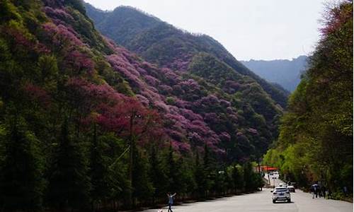 户县太平山,户县太平森林公园门票