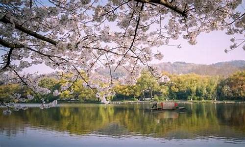 杭州春季旅游攻略,杭州春季旅游攻略一日游