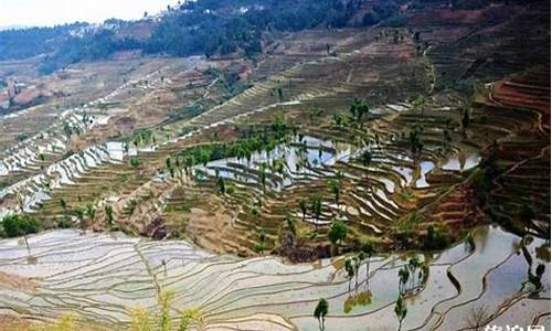 红河景点最值得去的地方排名,红河景点最值得去的地方排名前十