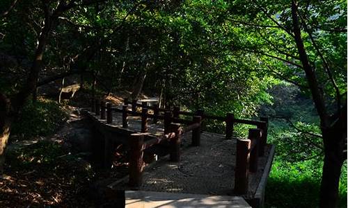 龙头山国家森林公园,龙头山森林公园介绍