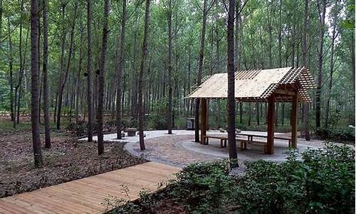 2021年郑州森林公园_郑州森林公园招聘