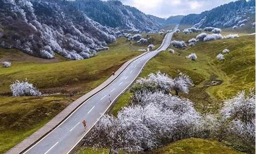 武隆旅游攻略仙女山路线图_武隆旅游攻略仙女山路线