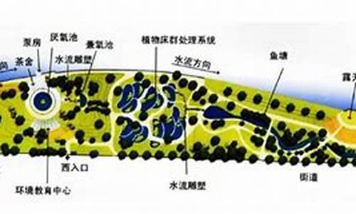 活水公园净水原理是什么,活水公园净水原理