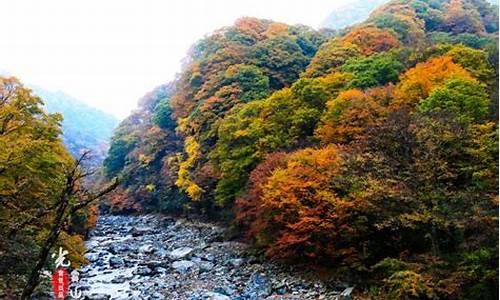 四川光雾山旅游攻略3天自驾_四川光雾山风景区旅游攻略