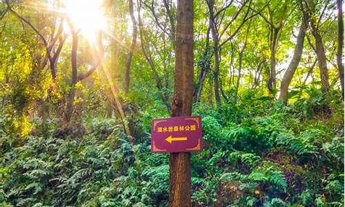 大夫山和滴水岩哪个好玩-滴水岩森林公园与大夫山森林公园