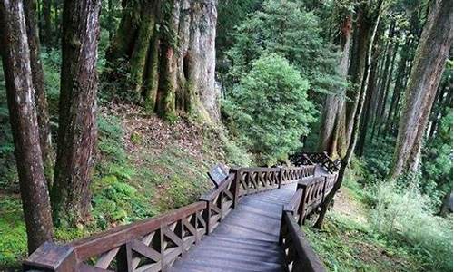 阿里山景区讲解-阿里山攻略纠错技巧