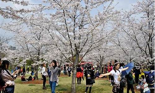 顾村公园樱花节老年人免票吗-顾村公园樱花2021门票怎么预约