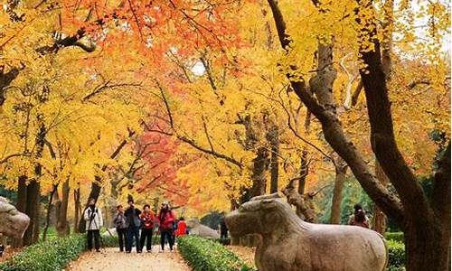 南京秋季旅游攻略景点必去-南京秋季旅游攻略