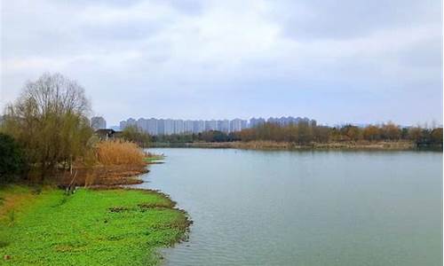 去洋湖湿地公园坐什么车-怎么去洋湖湿地公园