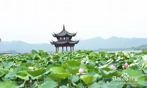 上海到杭州旅游景点-上海到杭州途中可以游玩的地方