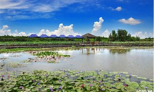 南沙湿地公园游玩攻略-南沙湿地公园景点照片