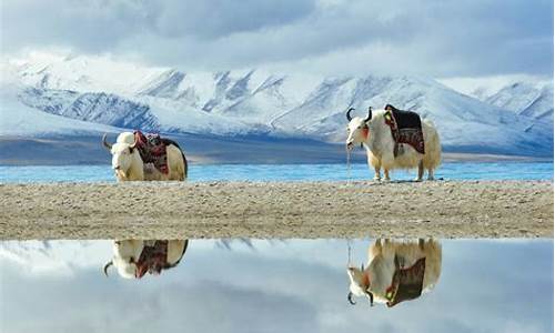 青藏线的旅游景点_青藏线旅游景点排行榜